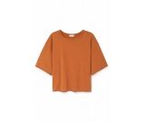 Kleur Bruin