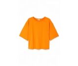 Kleur Oranje
