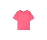 Kleur Rose