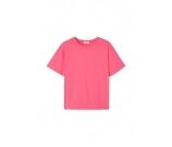 Kleur Rose