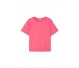 Kleur Rose