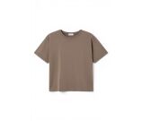 Kleur Taupe