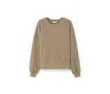 Kleur Bruin