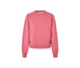 Kleur Rose