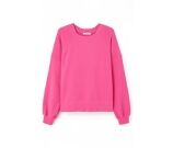 Kleur Rose