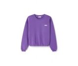 Kleur Paars