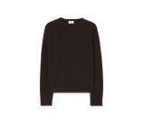 Kleur Bruin