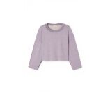 Kleur Paars