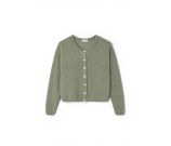 Kleur Groen