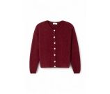 Kleur Bordeaux