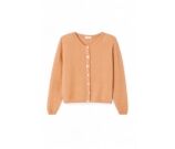 Kleur Rose